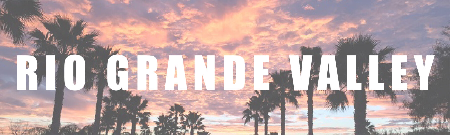 Rio Grande Valley Hispanic Women’s Network of Texas